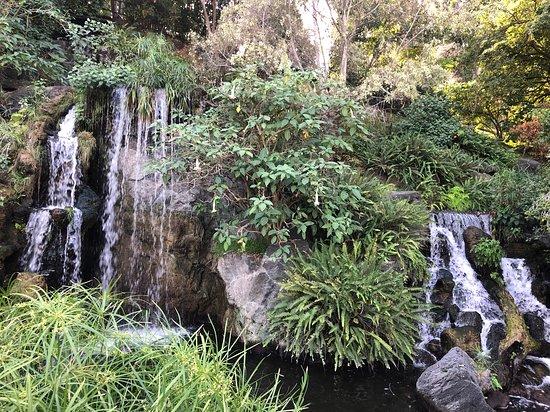 Los Angeles County Arboretum and Botanical Gardens